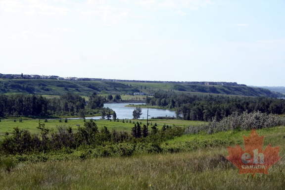 Bow River Scenery