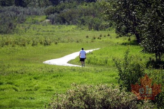 Out for a Walk in Fish Creek Park