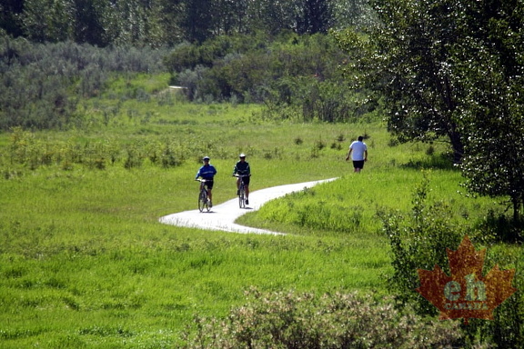 Trails of Votier`s Flats