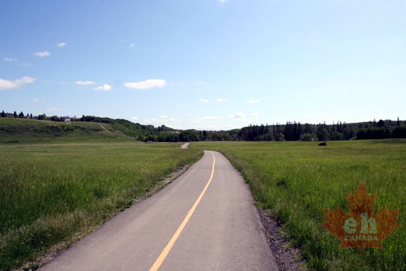 Paved Trails