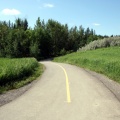 Trails in Votier`s Fl;ats