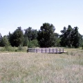 Wetlands Bridge