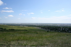 Grassland Views