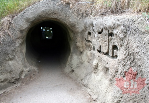 Viewing Tunnel