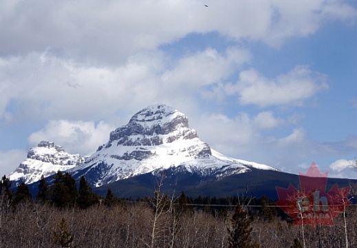 Crowsnest Mountains