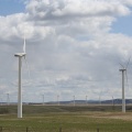 Windmill Farms