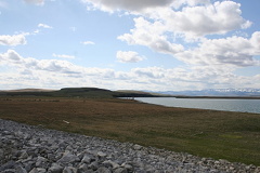 Grassy Shoreline