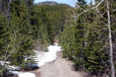 Rowe Lake Trail