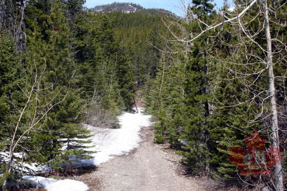 Rowe Lake Trail