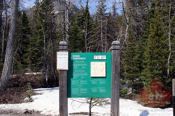 Entrance Sign