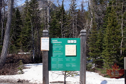 Entrance Sign