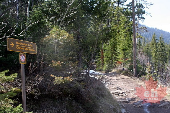 Trailhead Sign