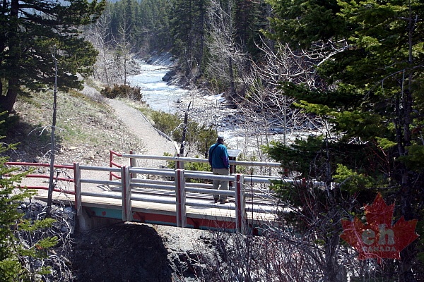Trail Bridge
