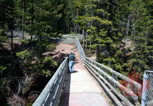Upper Trail Bridge