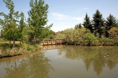 Pond