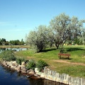 Lake Views