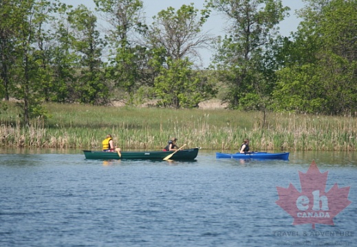 Canoeing & Kayaking on Park Lake