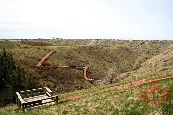 Lookout