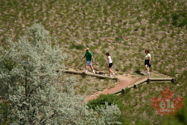 Recreation in Lethbridge