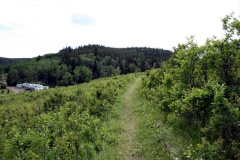 Hiking near Baldy Camp