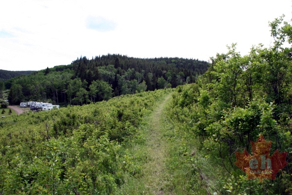 Hiking near Baldy Camp