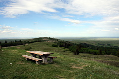 Lookout Picnics