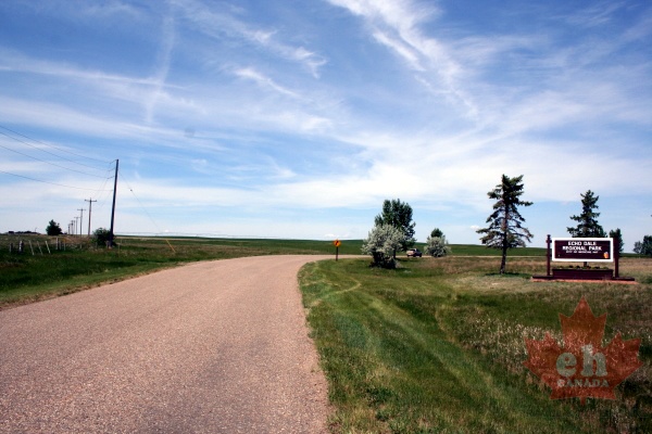 Entrance Road