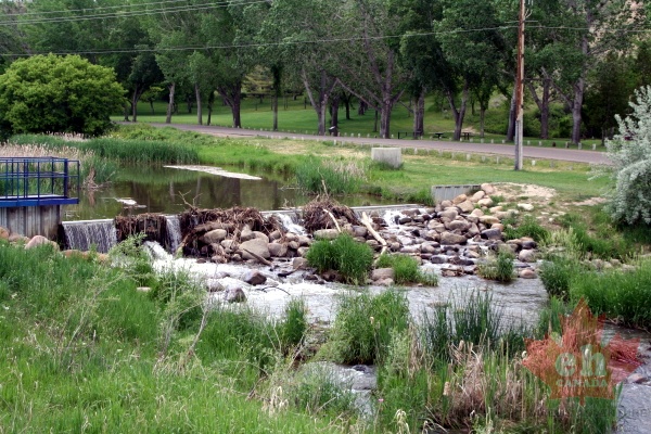 creek20090615_320001.JPG