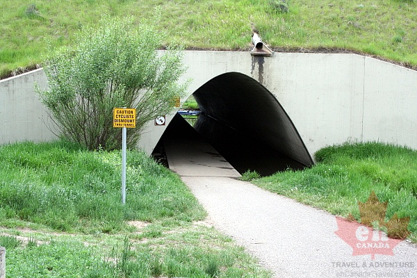 path-highway-tunnel20090615_350001.JPG
