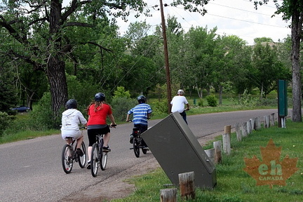 Family Ride