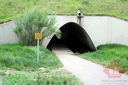 Tunnel on Heritage