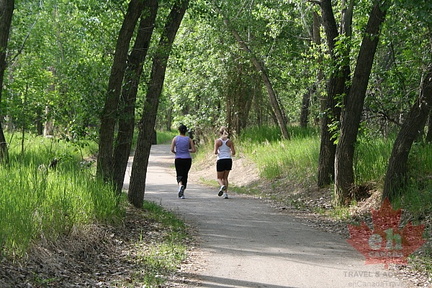 Jogging Paved Paths
