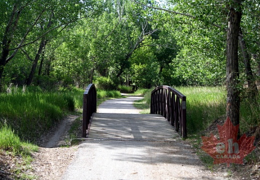 Recreation Pathway