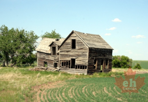 Old Farm Buildings 