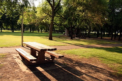 Picnicking in Prince Albert