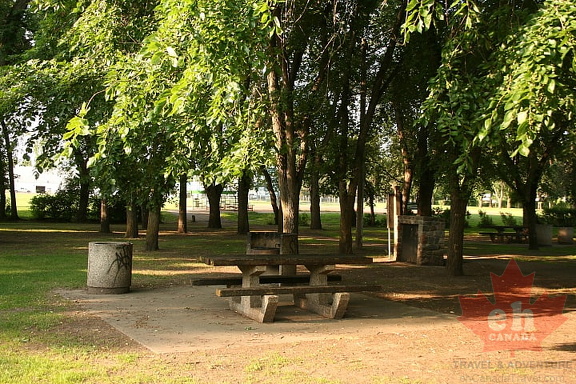 Day Use Picnic Area in Prince Albert