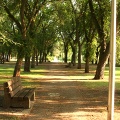 Walking Trails in Prince Albert