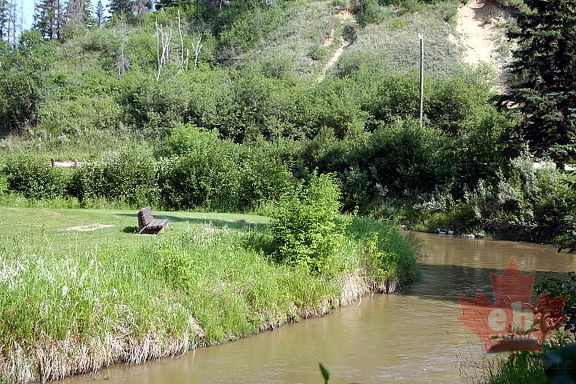 Sitting Bench on Little Red River