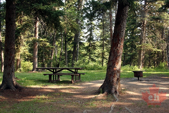 Picnicking in Prince Albert