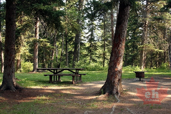 Picnicking in Prince Albert