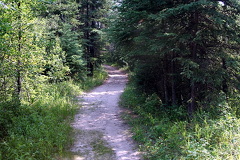 Nature Trails in Prince Albert Parks