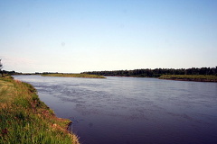 North Saskatchewan River
