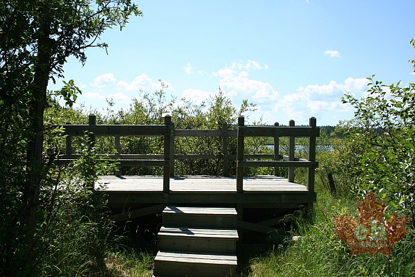 Prince Albert National Park Lookout