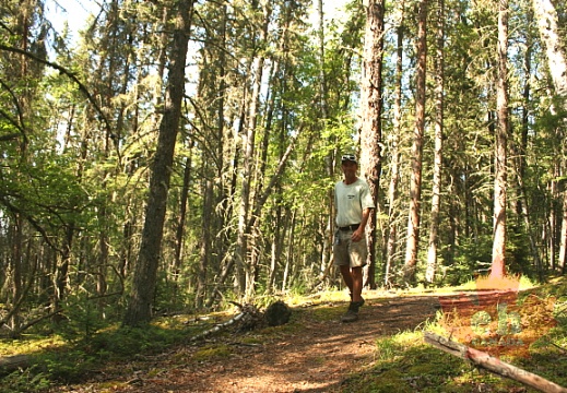 Narrows Peninsula Trail in Prince Albert National Park