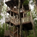 Height-of-Land Tower in Prince Albert National Park