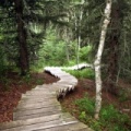 Shady Lake Trail 