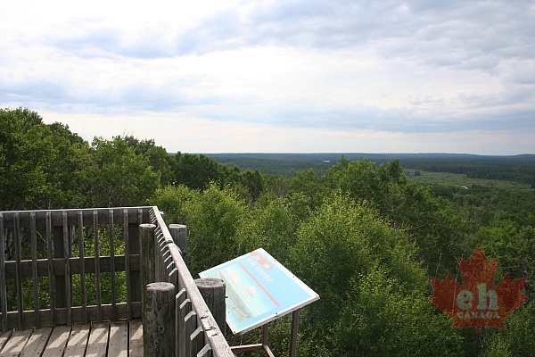 Tower Views on Spruce River Trail