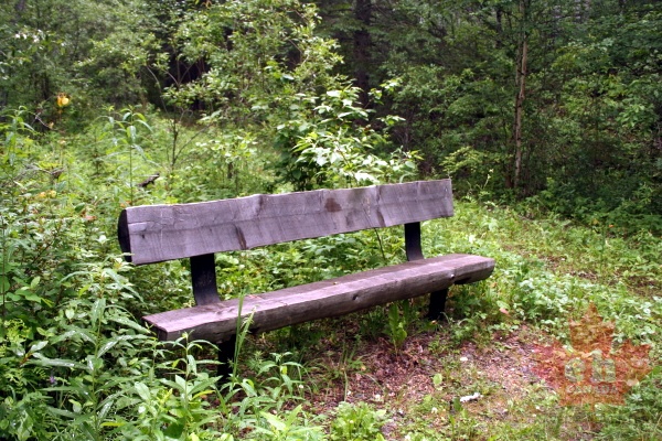 Resting Bench on Spruce River Trail