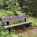 Resting Bench on Spruce River Trail