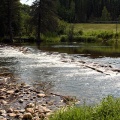 Waskesiu River Rapids